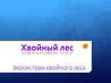 Хвойный лес. Экосистема хвойного леса