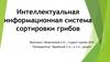 Интеллектуальная информационная система сортировки грибов