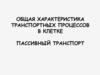 Общая характеристика транспортных процессов в клетке. Пассивный транспорт