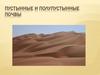 Пустынные и полупустынные почвы