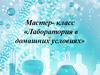 Лаборатория в домашних условиях. Мастер-класс