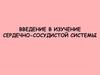 Ангиология. Введение в изучение сердечно-сосудистой системы
