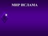 Мир ислама