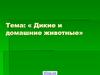 Дикие и домашние животные