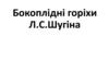 Бокоплідні горіхи Л.С. Шугіна