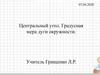 Центральный угол. Градусная мера дуги окружности