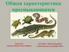 Общая характеристика пресмыкающихся