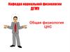 Физиология центральной нервной системы