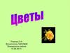 Цветы (для дошкольников)