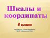 Шкалы и координаты