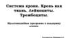 Система крови. Кровь как ткань. Лейкоциты. Тромбоциты
