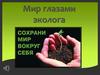 Мир глазами эколога