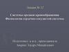 Системы органов кровообращения Физиология сердечно-сосудистой системы. Лекция № 12