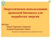 Энергетическое использование древесной биомассы для выработки энергии