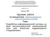 Разработка информационной системы на базе высокоскоростной компьютерной сети для Агентства недвижимости