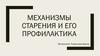 Механизмы старения и его профилактика