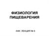 Физиология пищеварения