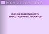 Оценка эффективности инвестиционных проектов