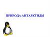 Природа Антарктиды