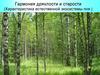 Гармония дряхлости и старости. Характеристика естественной экосистемы пня