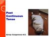 Past continuous tense
