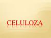 Celuloza. Introducere