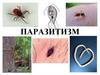 Паразитизм