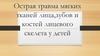 Острая травма мягких тканей лица,зубов и костей лицевого скелета у детей