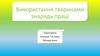 Використання тваринами знарядь праці