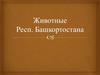 Животные Республики Башкортостан