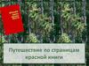 Путешествие по страницам красной книги
