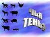 Чья тень? (домашние животные и птицы)