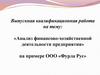 Анализ финансово-хозяйственной деятельности предприятия на примере ООО «Фурла Рус»