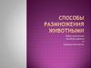 Способы размножения животных