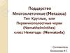Подцарство Многоклеточные (Metazoa). Тип Круглые или Первичнополостные черви (Nemathelminthes) класс Нематоды (Nematoda)