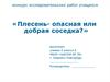 Плесень - опасная или добрая соседка?
