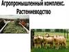 Агропромышленный комплекс