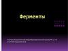 Ферменты