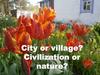 City or village?