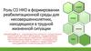 Роль СО НКО в формировании реабилитационной среды для несовершеннолетних, находящихся в трудной жизненной ситуации