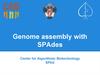 Genome assembly with SPAdes