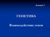 Генетика. Взаимодействие генов