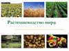 Растениеводство мира
