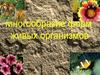 Многообразие форм живых органихмов
