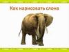 Как нарисовать слона