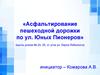 Асфальтирование пешеходной дорожки по ул. Юных Пионеров. Инициативное предложение