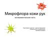 Микрофлора кожи рук. Экспериментальная часть
