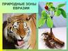 Природные зоны Евразии