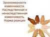 Закономерности изменчивости. Наследственная и ненаследственная изменчивость. Норма реакции