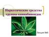 Наркотические средства группы каннабиноидов